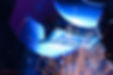 welding hat with sparks