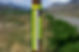 pole