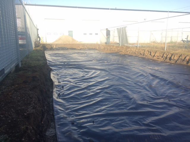 blue tarp