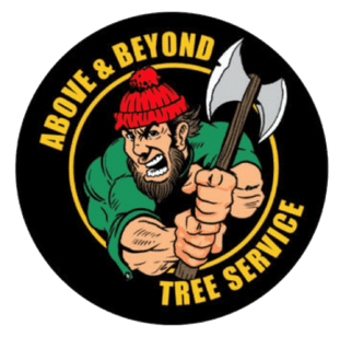 Above & Beyond Tree Service | About Us