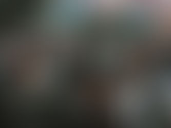 PROPOSED REVISIONS TO THE CITIZENSHIP ACT