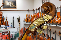 Ornate double bass scroll, gold tuning pegs, in a music store.