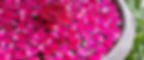 Pink flowers