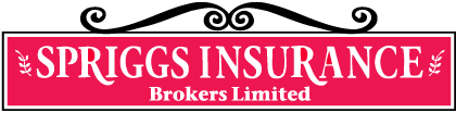 Spriggs Insurance Brokers Limited