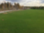 Smilsky grass 1