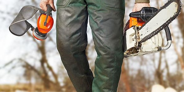 forestry