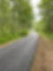asphalt road through a forest