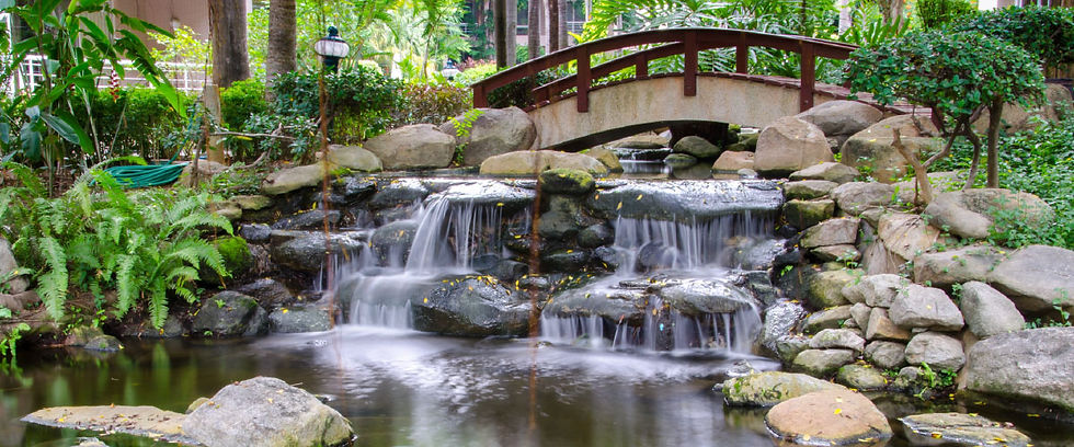 Landscaped pond
