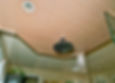 Shower head