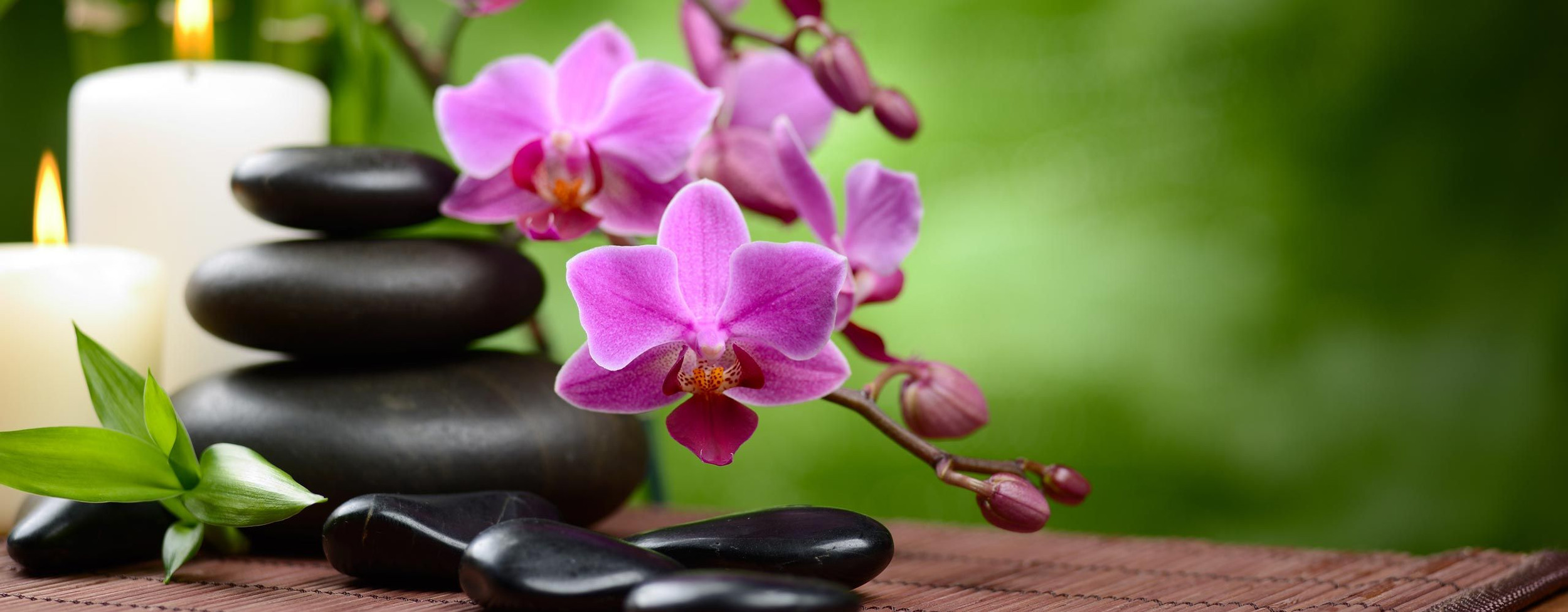 Tecumseh Massage Therapy Clinic logo