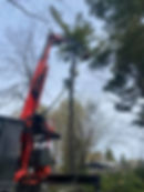 Vue sur une nacelle à proximité d'un arbre