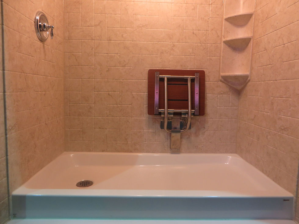 Portfolio Bathtub King Refinishing & Renovations