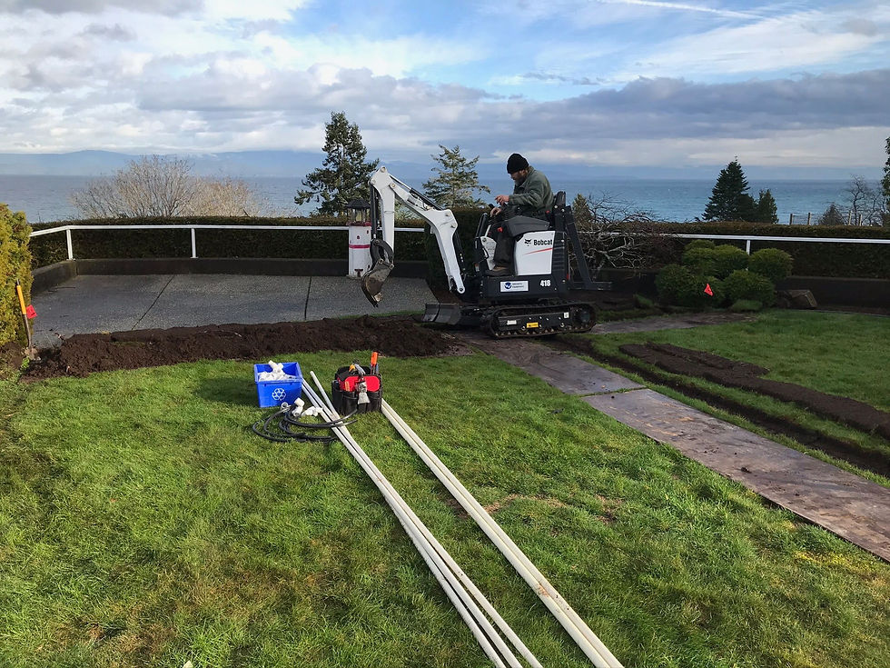 Lawn Installation Parksville Commercial and Residential Services