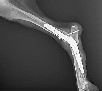 post op.png