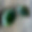Thumbnail: Hydrangea Leaf
