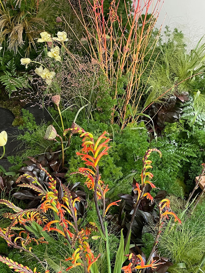 Green brown grass landscape installation