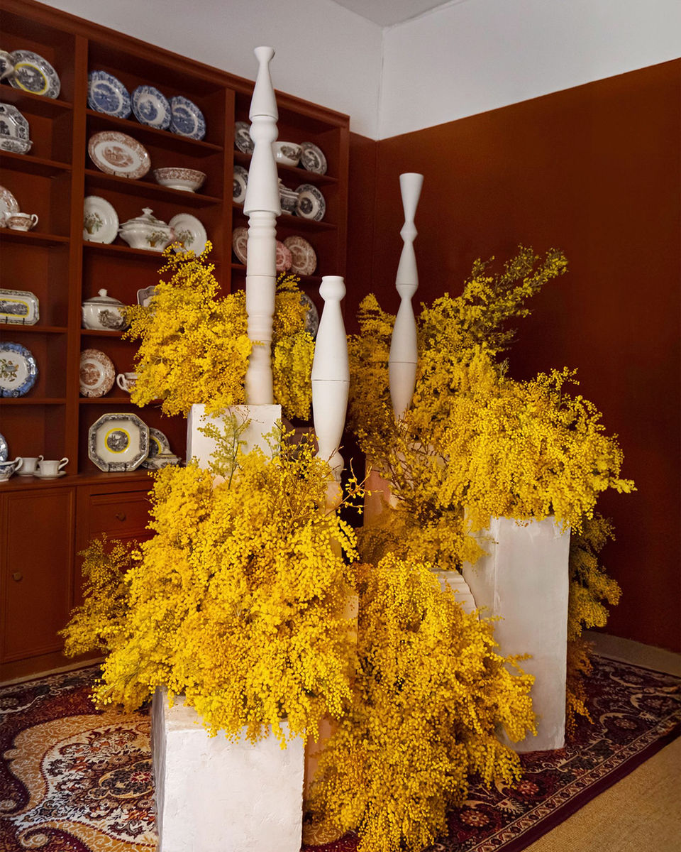 Mimosa installation with ceramic in the background