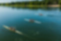 DJI_0078.jpg