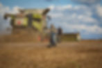 HD Agriculture Combine harvesters22.jpg