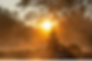 Image meditation.PNG