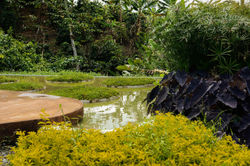 combia inspiracionjmrjorge mario restrepo (14)