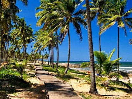 Salvador Natural: Trilhas, Praias e Aventura no Coração da Bahia
