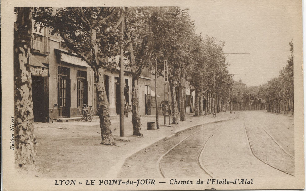 Les rails du tramway sur l'avenue