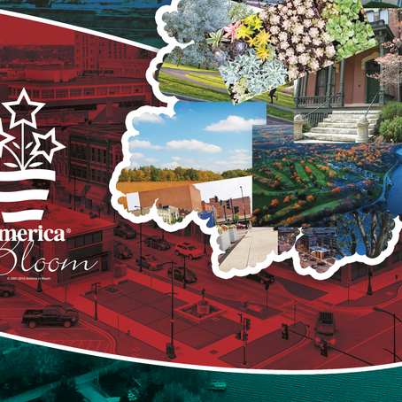 Decatur Enters AIB National Awards Program for Second Time