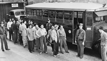 Mexican American "zoot suiters" arrested during the riots