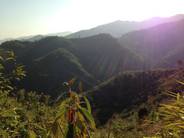 Electoral Politics In Manipur: The Role Of Ethnicity