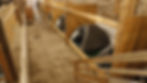Indoor Camping Hofgut Stammen