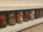 IMG_6501.jpeg