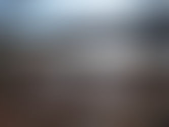 Column: The importance of land stewardship in the Finger Lakes