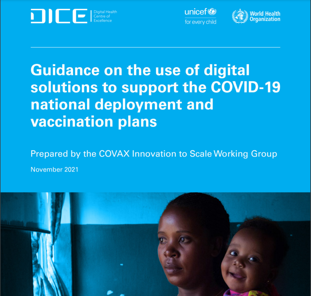 DICE Guidelines on Digital Solutions