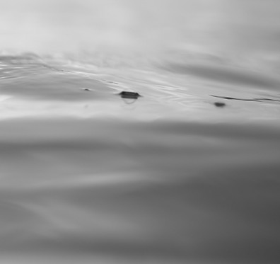 ivan-kazlouskij-zdxcIS6TfWo-unsplash_edited.jpg