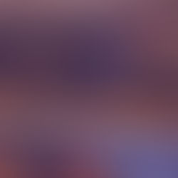 Taking the Road to Action