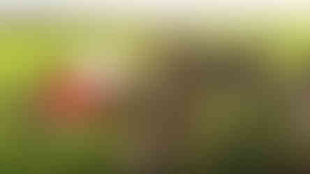 Aerial view of Orange Barn Events showing the red barn, open fields, and scenic countryside in Navan, Ontario