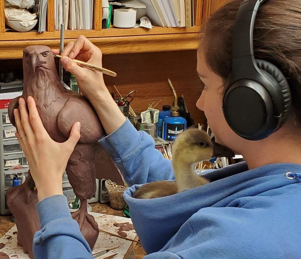 Kristen sculpting an eagle, all with a baby duck in her hoodie.