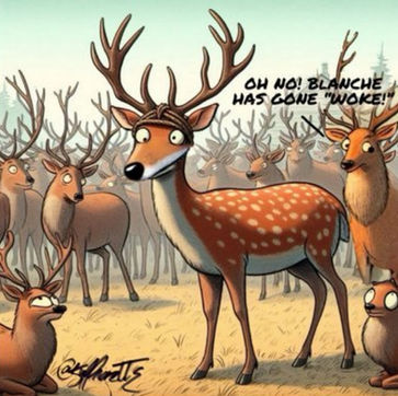 Album launch, content creation, landing page, newsletter