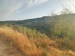 IMG20220621204802.jpg
