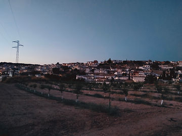 IMG20210730214219.jpg
