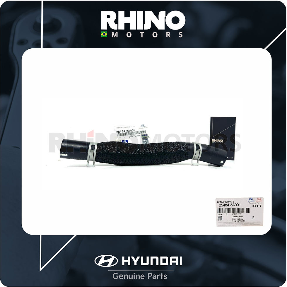 Miniatura: 254843A001 - Mangueira de Alimentação do Resfriador de Oleo Hyundai Vera Cruz