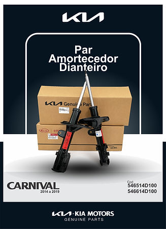 PEÇAS.jpg