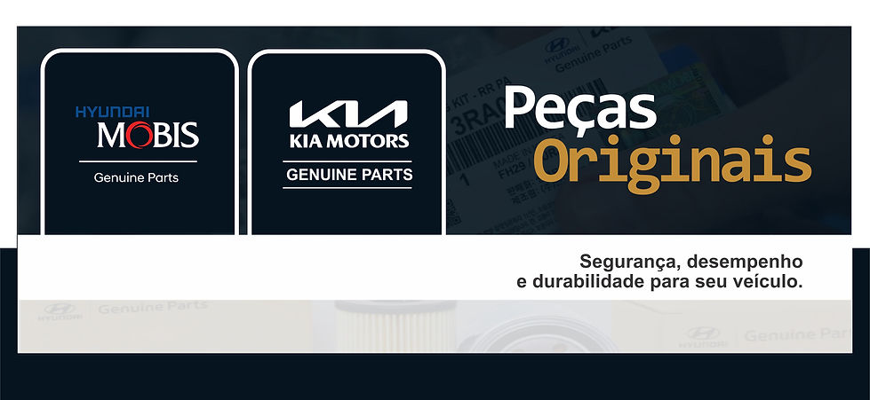 PEÇAS.jpg