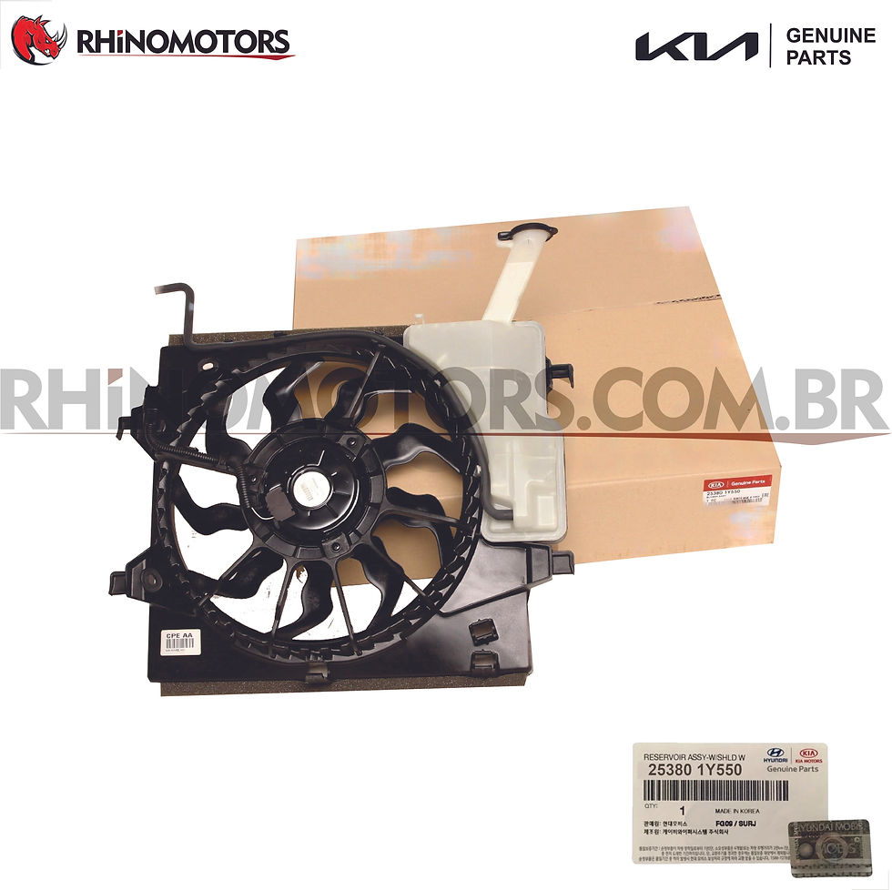 253801Y550 - Defletor Radiador Kia Picanto 2012 A 2019