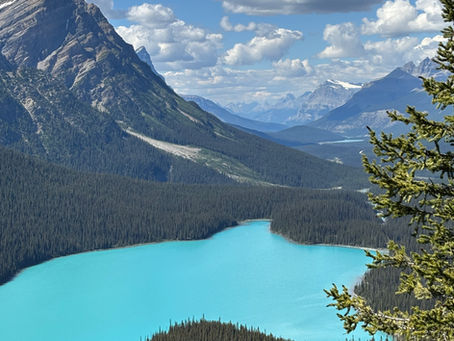 Canadian Rockies with Adventures by Disney: 5 Reasons to Skip the Stress and Say YES to Group Travel