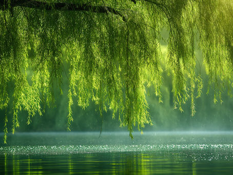 AI and executive leadership for growth