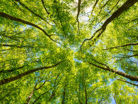 You Have an Innovation Problem, and More Tech Won't Solve It.