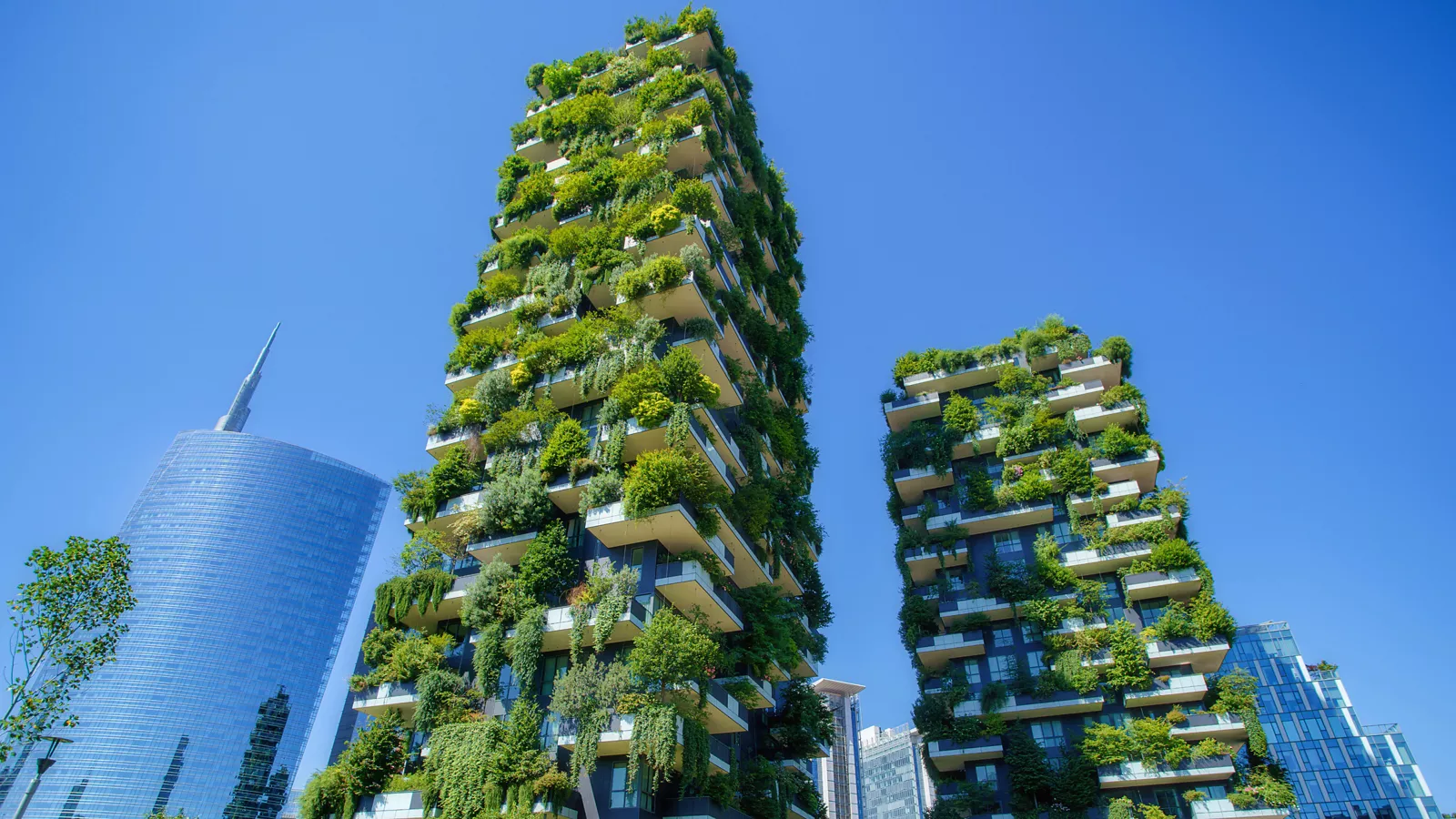 bosco verticale
