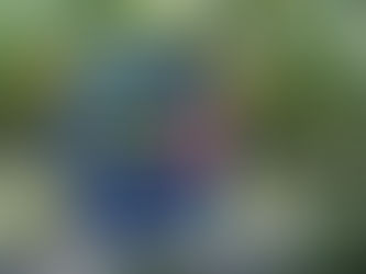 用音樂灌溉的「有機櫛瓜」